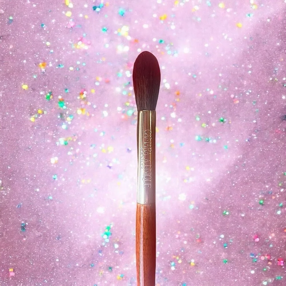 CAMARAA UNIQUE BEAUTY THE VIRTUOUS WOMAN BRUSH SET VOL 1 -DEBORAH AND RUTH- NIP